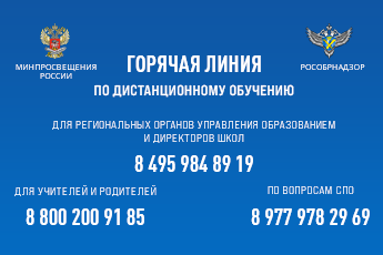 горячая линия.png горячая линия.png
